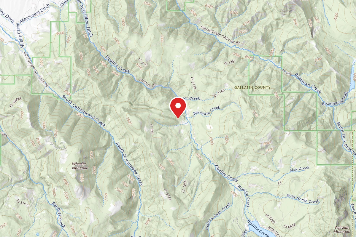Custer Gallatin Dispersed Campsite FR 3164 LANGHOR ROAD LEAD MINE 155