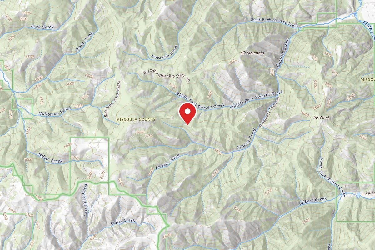 Schwartz Creek / Miller