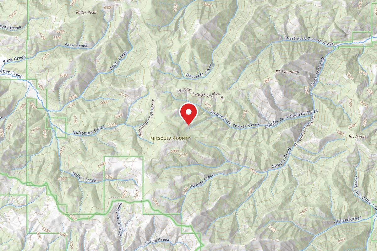Schwartz Creek / Miller