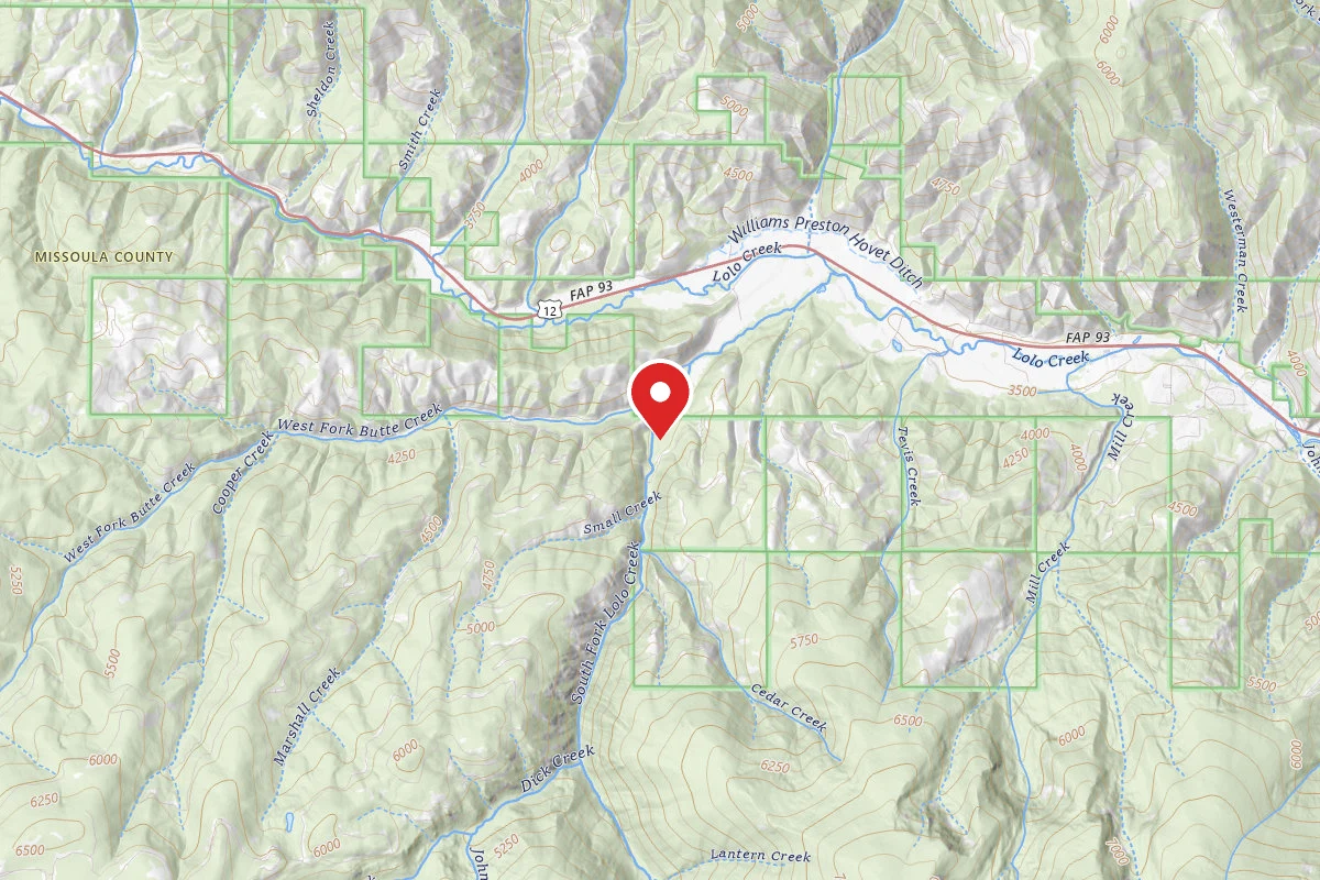 South Fk Lolo Creek Horse T