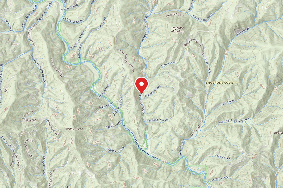 Idaho Panhandle Dispersed Campsite FIRE PREV. DISP. SITE #225A