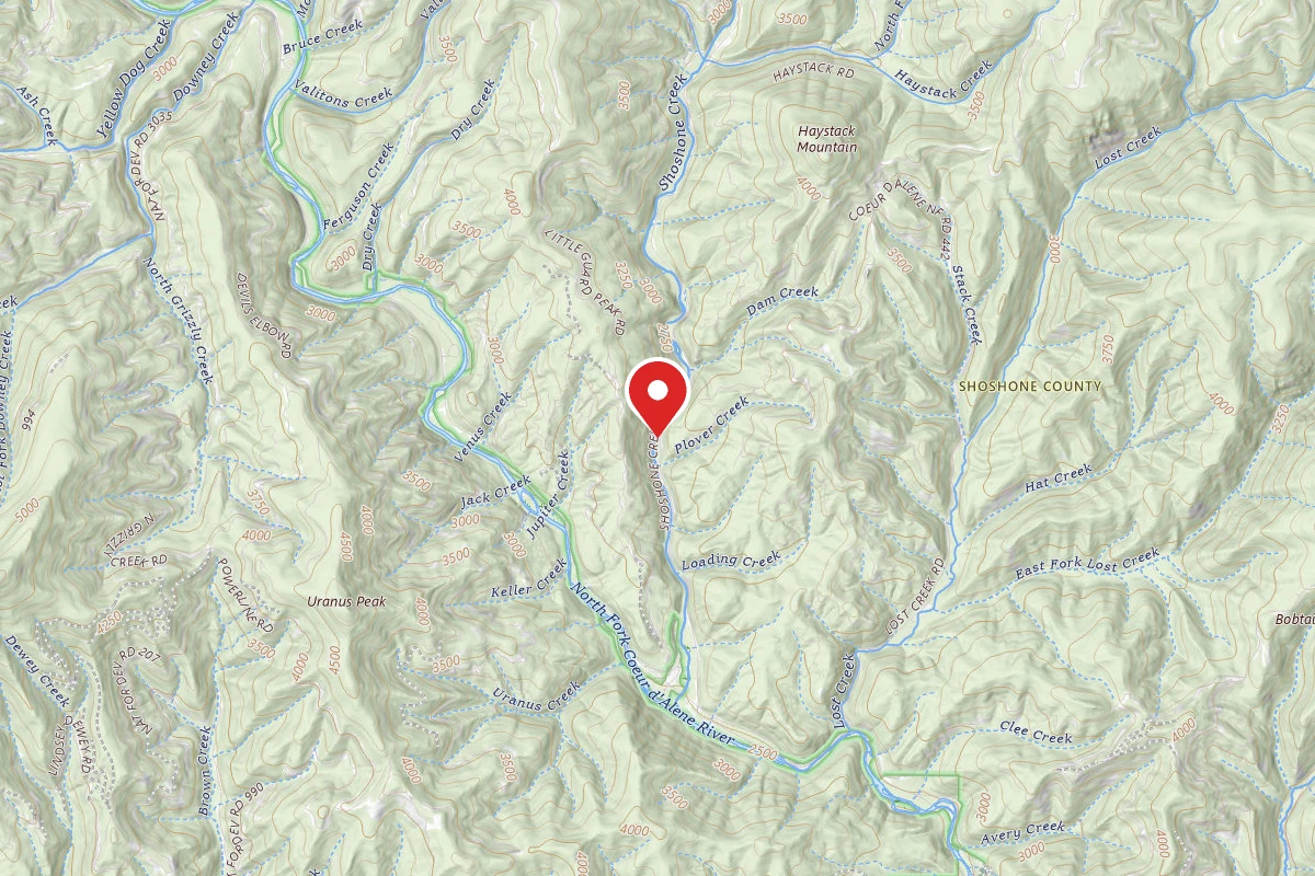 Idaho Panhandle Dispersed Campsite FIRE PREV. DISP. SITE #225B
