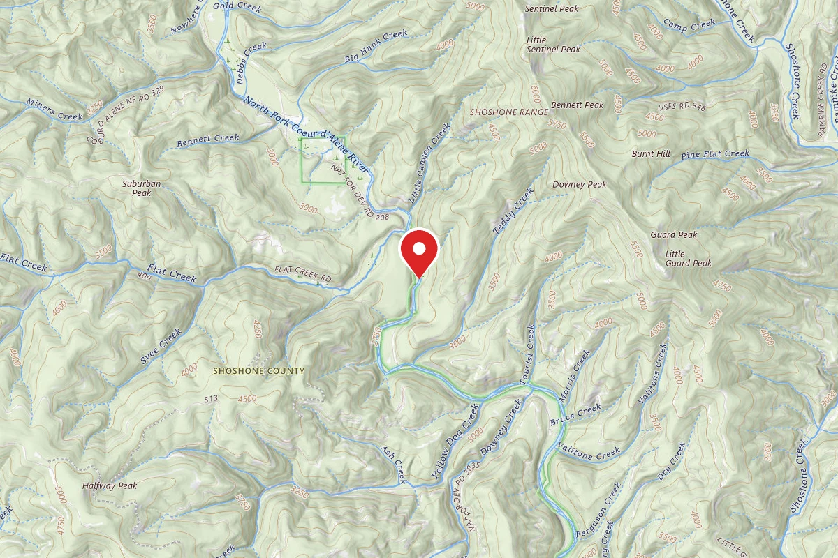 Idaho Panhandle Dispersed Campsite FIRE PREV. DISP. SITE #176B