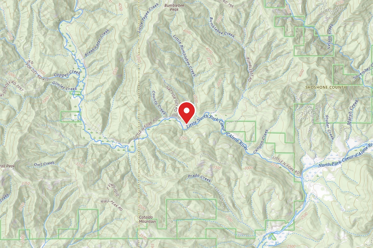 Idaho Panhandle Dispersed Campsite BUMBLEBEE MEADOW 5-1