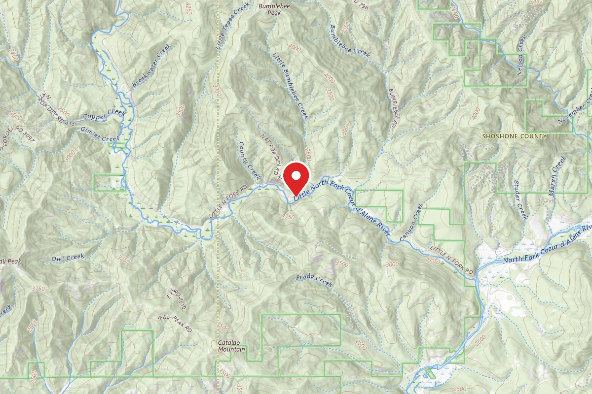 Idaho Panhandle Dispersed Campsite BUMBLEBEE MEADOW 5-2