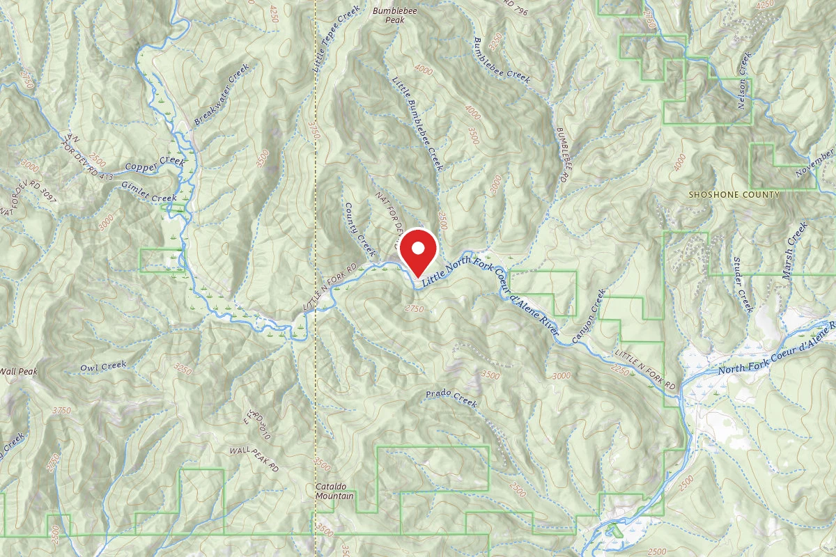 Idaho Panhandle Dispersed Campsite BUMBLEBEE MEADOW 5-4