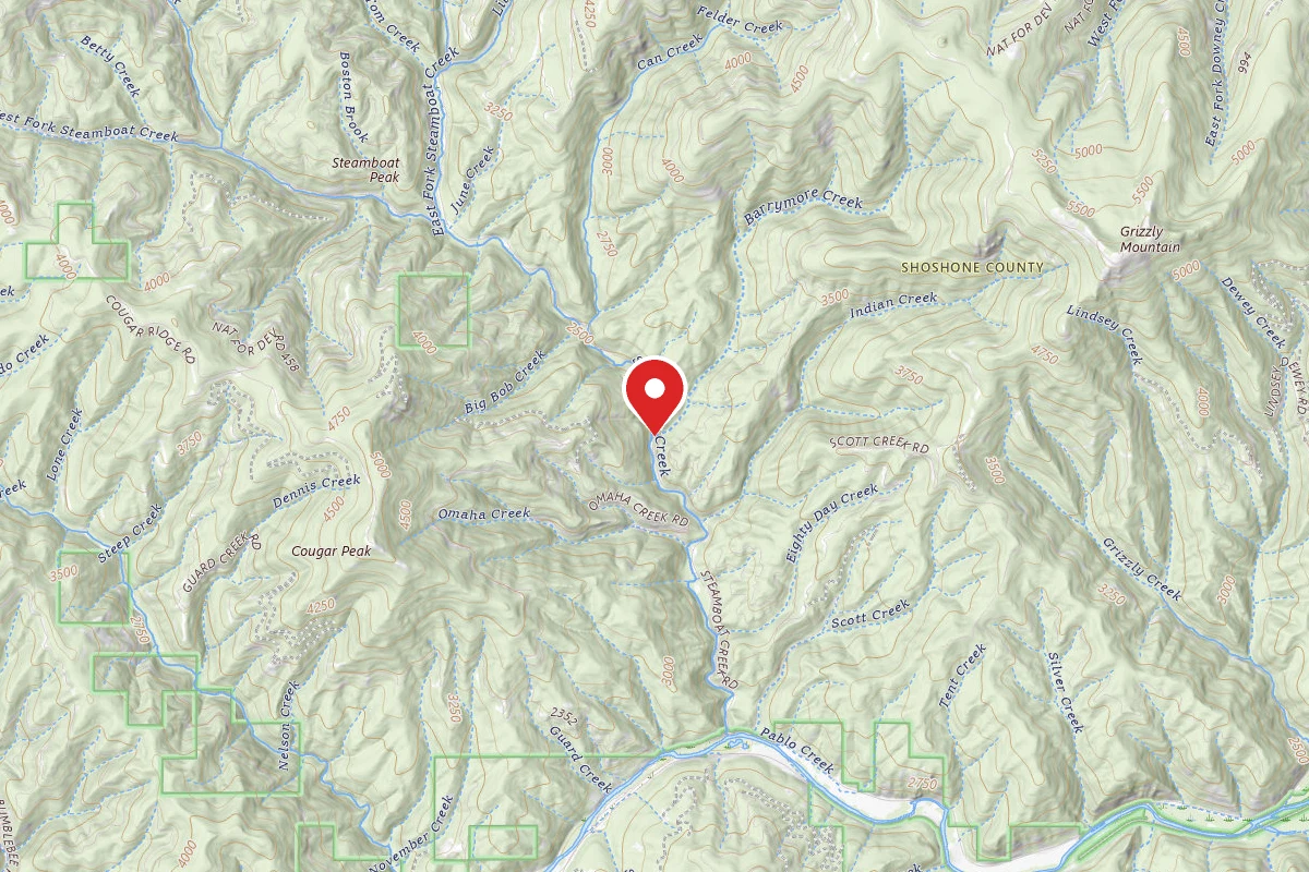 Idaho Panhandle Dispersed Campsite FIRE PREV. DISP. SITE #101