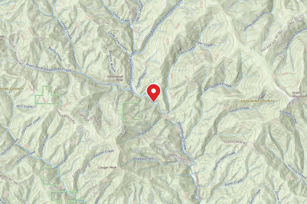 Idaho Panhandle Dispersed Campsite FIRE PREVENTION DISP SITE #104