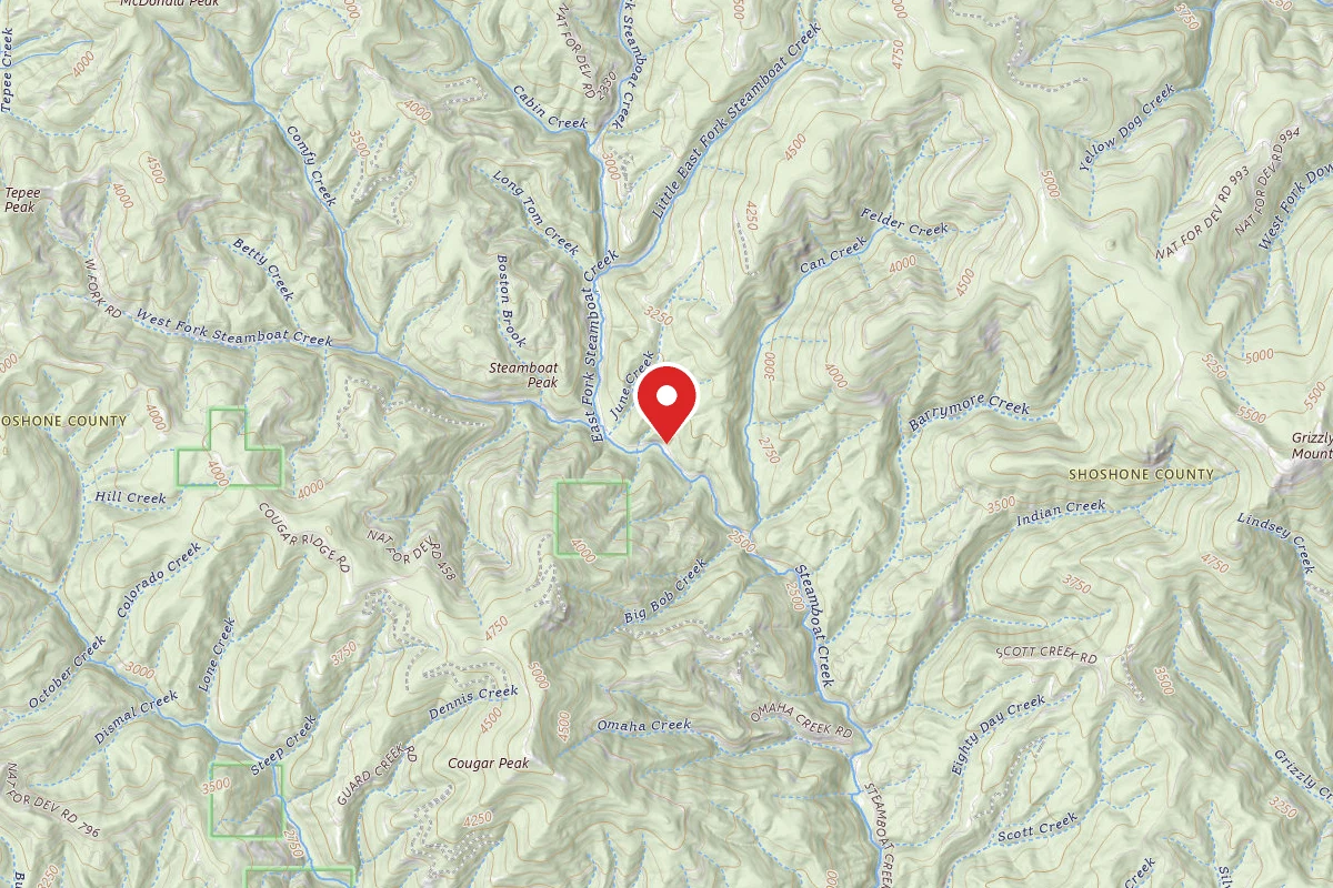 Idaho Panhandle Dispersed Campsite 400 MM 4.8