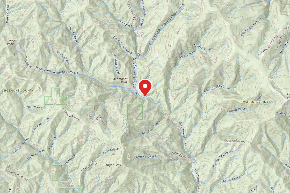 Idaho Panhandle Dispersed Campsite FIRE PREV. DISP. SITE #105