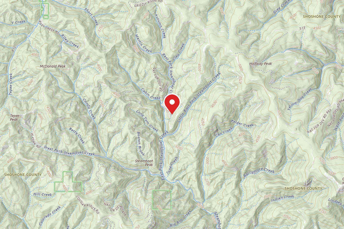 Idaho Panhandle Dispersed Campsite 400 MM 8.2