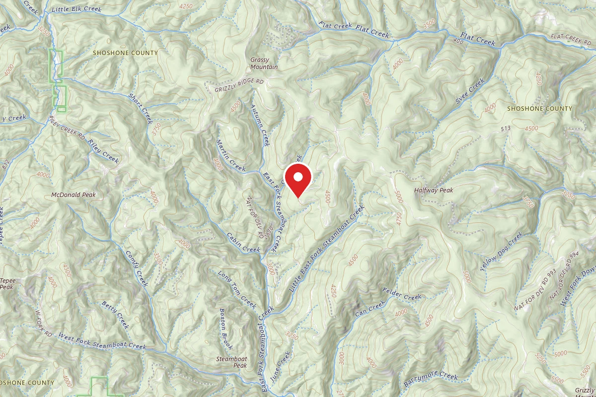 Idaho Panhandle Dispersed Campsite 400 MM 10.9