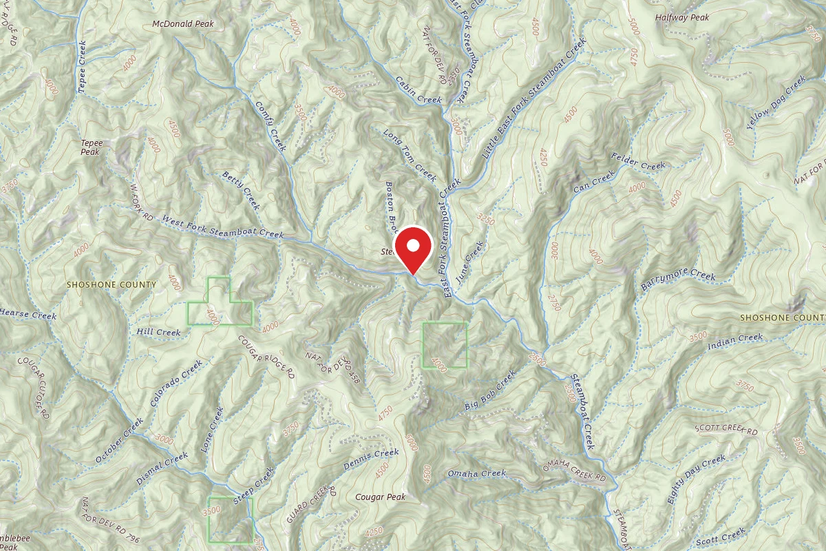 Idaho Panhandle Dispersed Campsite FIRE PREV. DISP. SITE #107