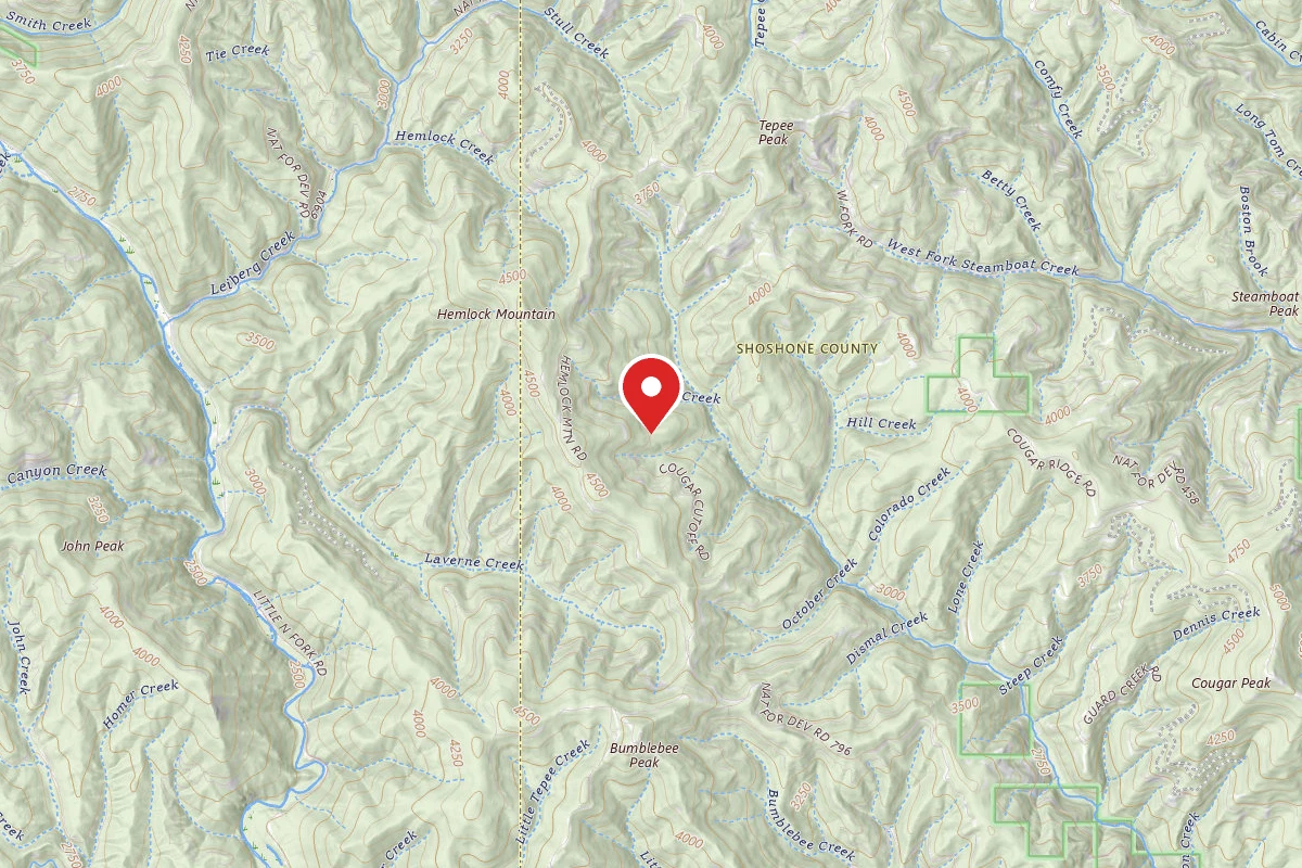 Idaho Panhandle Dispersed Campsite 409 MM 12.3