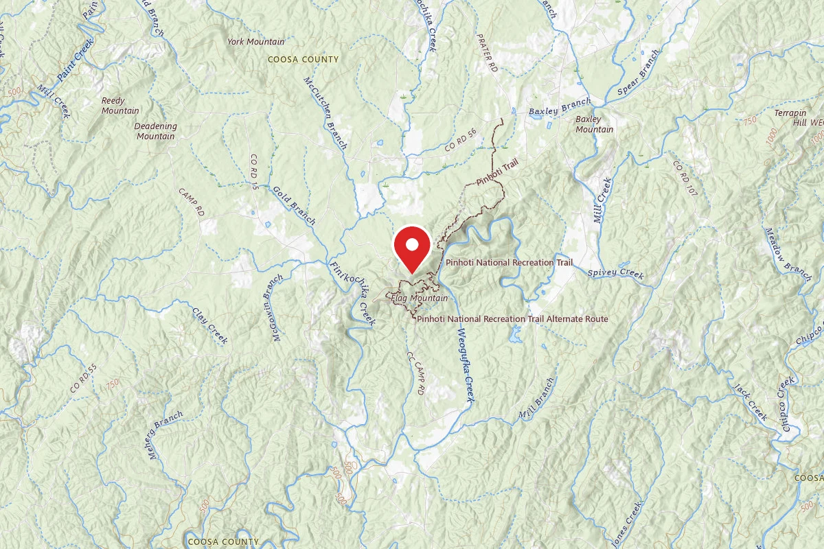 Weogufka State Forest Backcountry Site 1