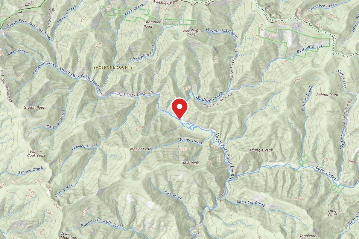 Idaho Panhandle Dispersed Campsite RD 456 MI 12.0