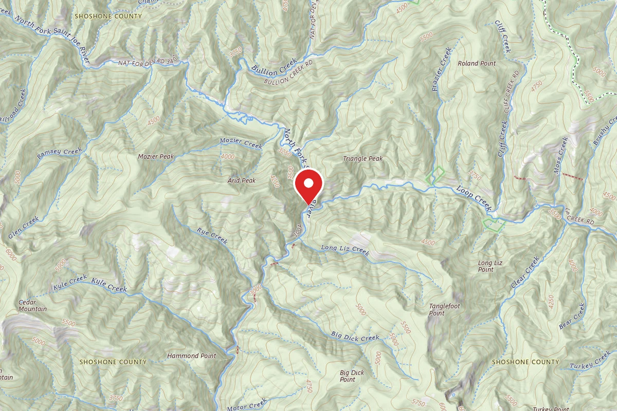 Idaho Panhandle Dispersed Campsite RD 1997 MI 6.1