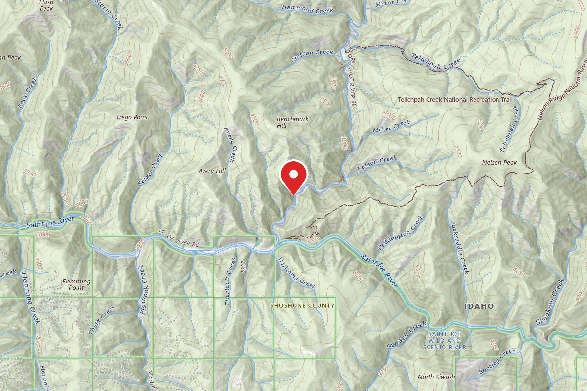 Idaho Panhandle Dispersed Campsite RD 456 MI 0.8