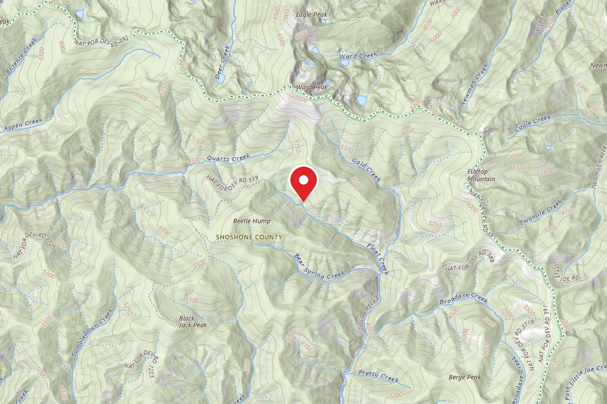 Idaho Panhandle Dispersed Campsite RD 339 MI 13.1