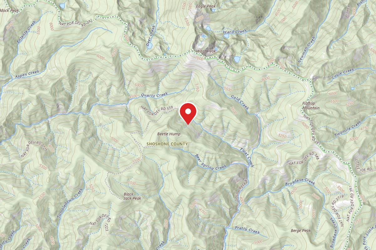 Idaho Panhandle Dispersed Campsite RD 339 MI 11.8