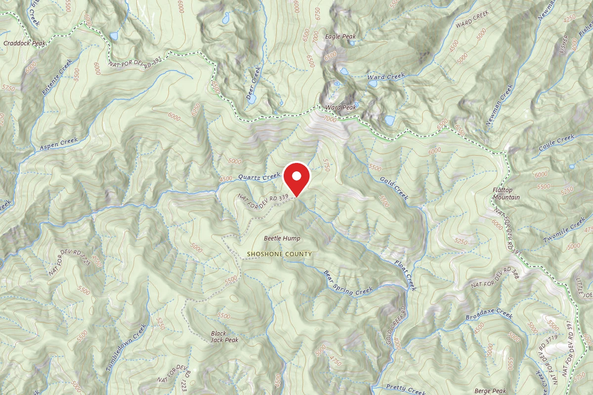 Idaho Panhandle Dispersed Campsite RD 339 MI 11.1