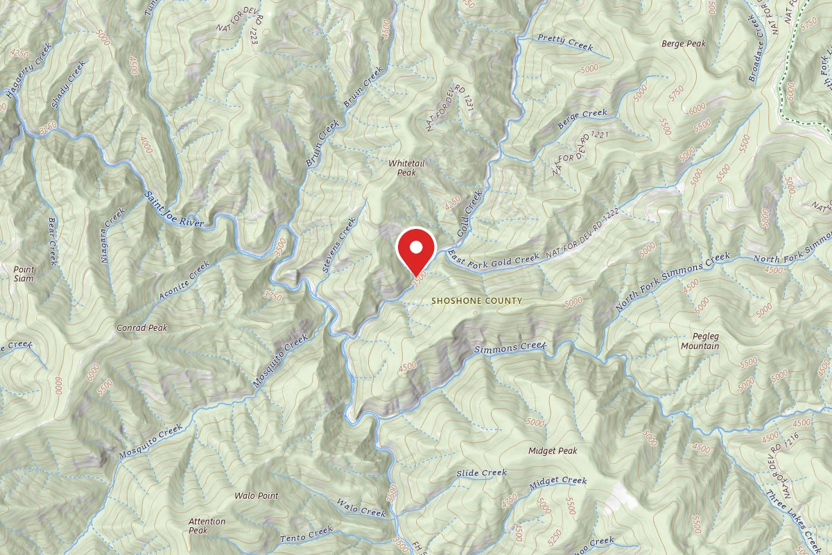 Idaho Panhandle Dispersed Campsite FH 50 MI 77.2