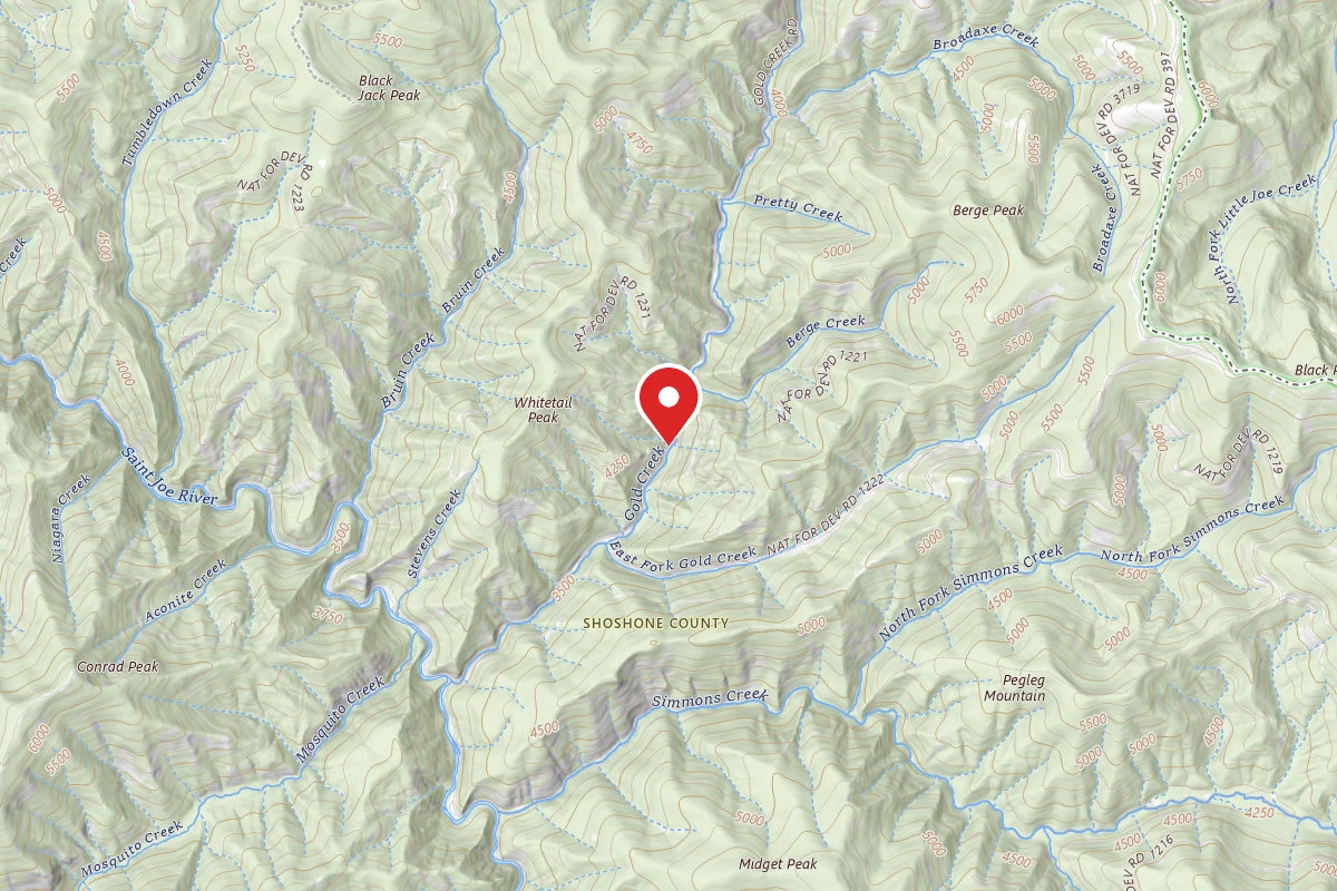 Idaho Panhandle Dispersed Campsite FH 50 MI 78.7