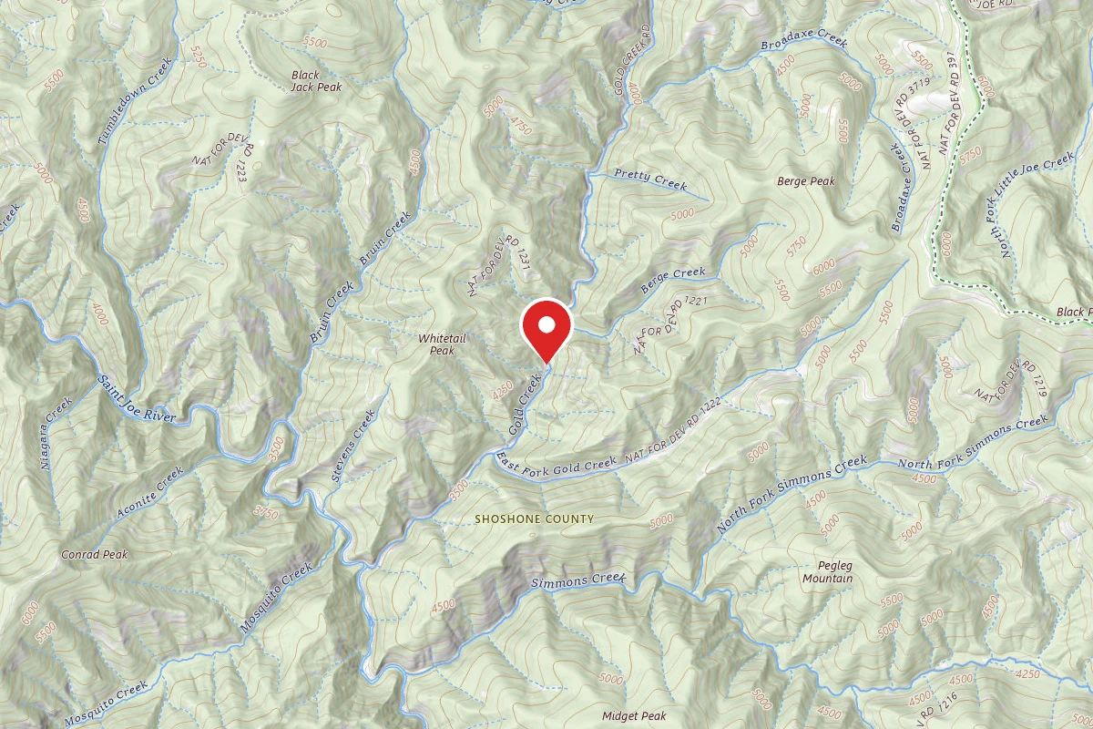 Idaho Panhandle Dispersed Campsite FH 50 MI 78.7