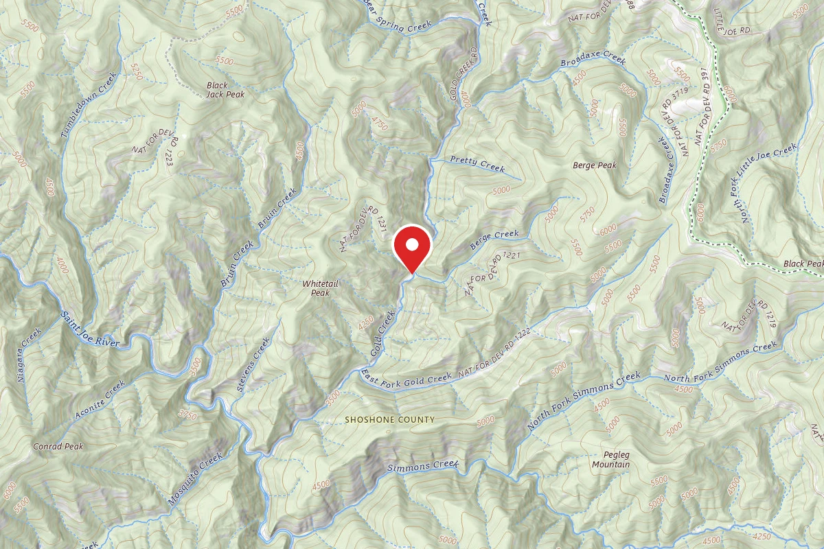 Idaho Panhandle Dispersed Campsite FH 50 MI 79.1 SITE A