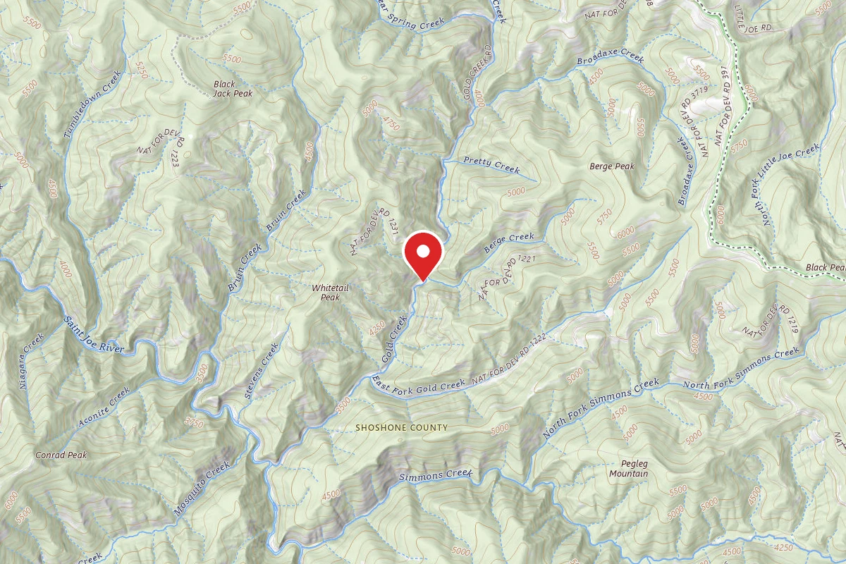 Idaho Panhandle Dispersed Campsite FH 50 MI 79.1 SITE B