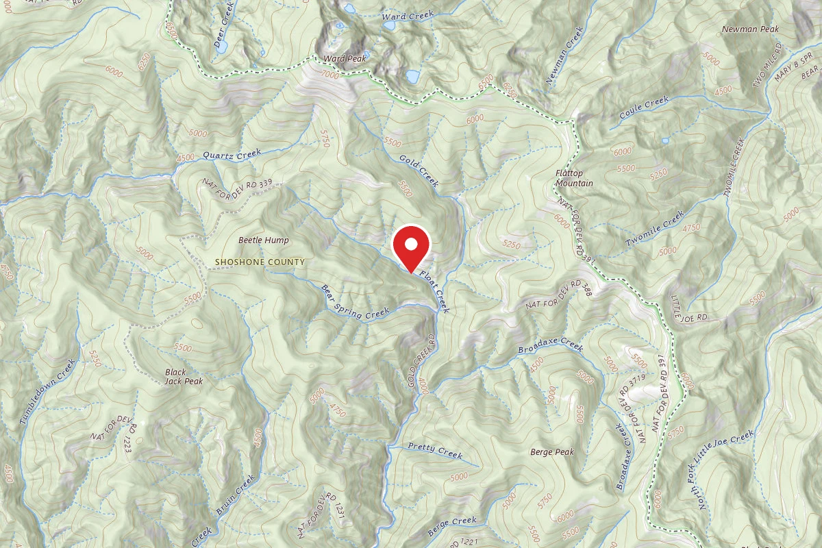 Idaho Panhandle Dispersed Campsite FH 50 MI 83.2