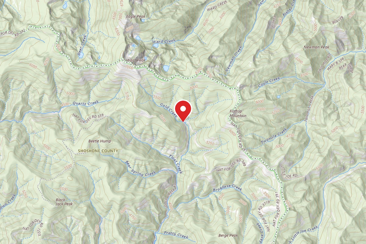 Idaho Panhandle Dispersed Campsite FH 50 MI 84.4