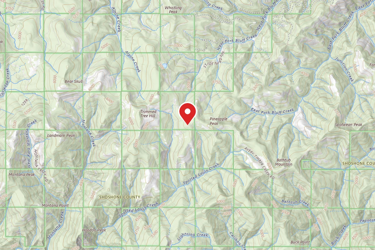 Idaho Panhandle Dispersed Campsite RD 201 MI 23.9