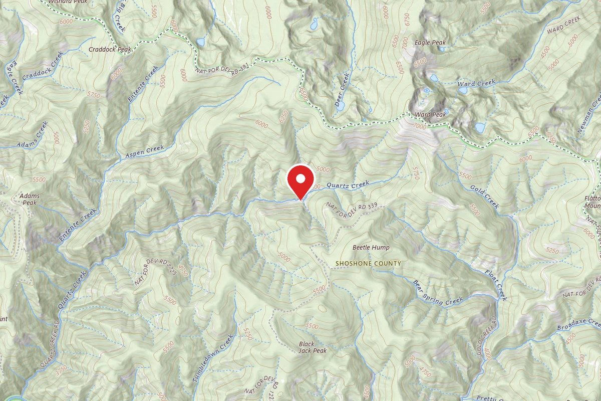 Idaho Panhandle Dispersed Campsite RD 339 MI 6.8