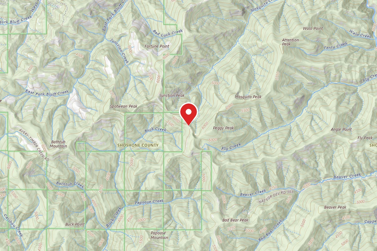 Idaho Panhandle Dispersed Campsite RD 201 MI 32.4