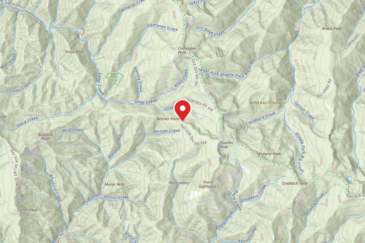 Idaho Panhandle Dispersed Campsite RD 338 MI 13.4