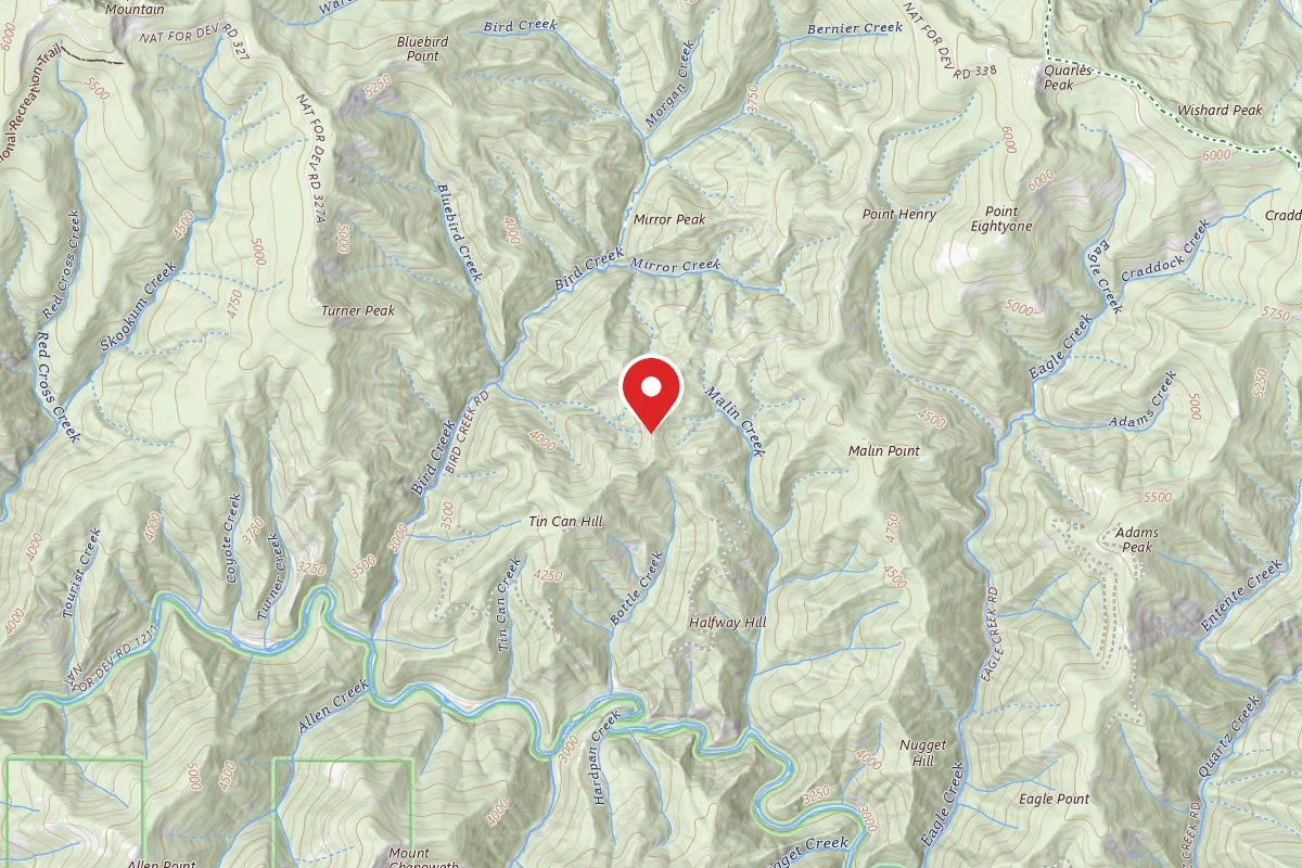 Idaho Panhandle Dispersed Campsite RD 338 MI 8.3