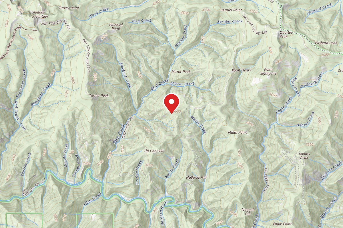 Idaho Panhandle Dispersed Campsite RD 338 MI 7.9