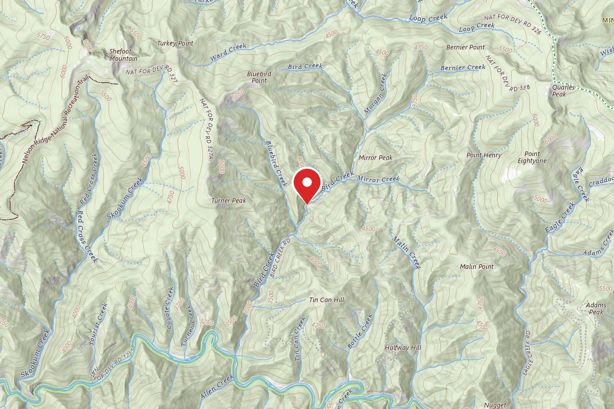 Idaho Panhandle Dispersed Campsite RD 338 MI 2.8