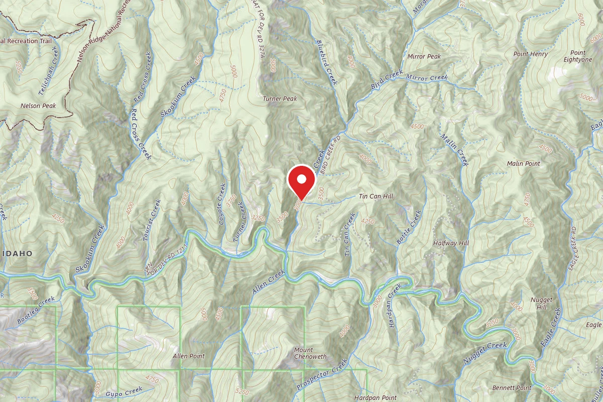 Idaho Panhandle Dispersed Campsite RD 338 MI 0.9