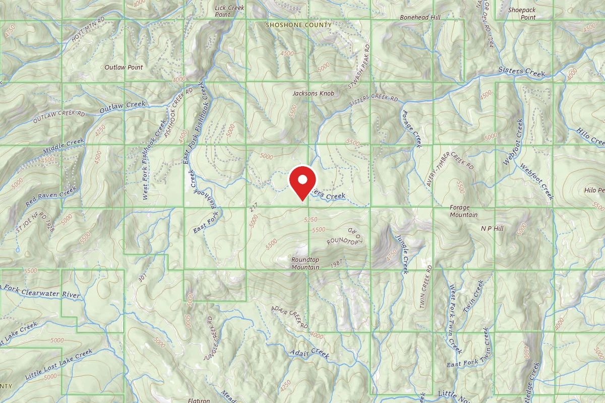 Idaho Panhandle Dispersed Campsite RD 201 MI 4.1