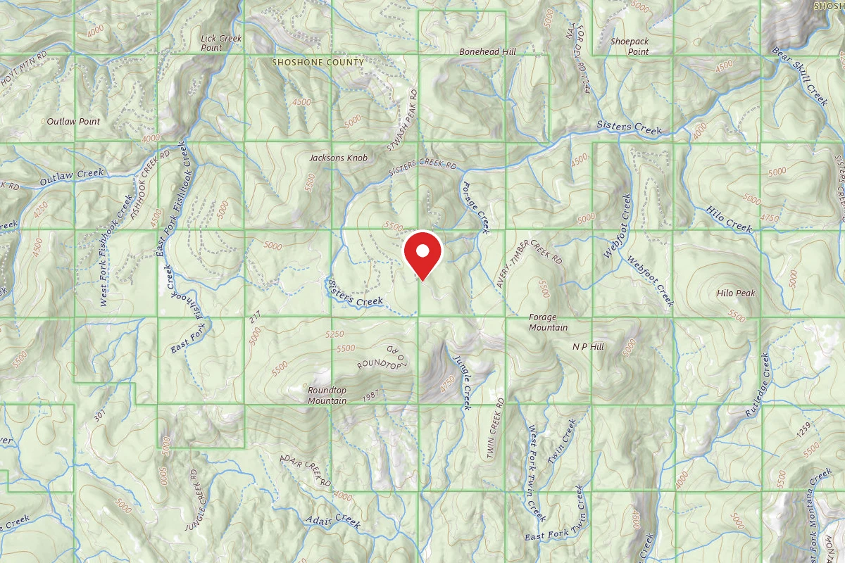 Idaho Panhandle Dispersed Campsite RD 201 MI 5.8
