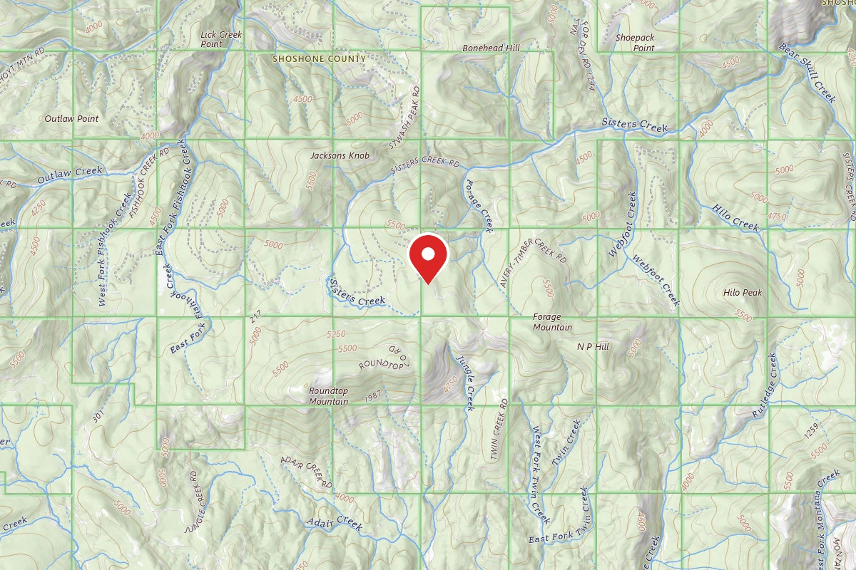 Idaho Panhandle Dispersed Campsite RD 201 MI 5.9