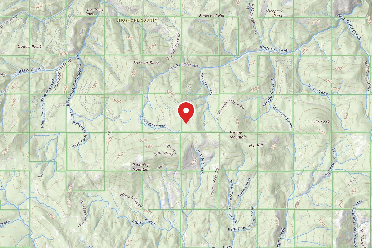 Idaho Panhandle Dispersed Campsite RD 201 MI 6.1