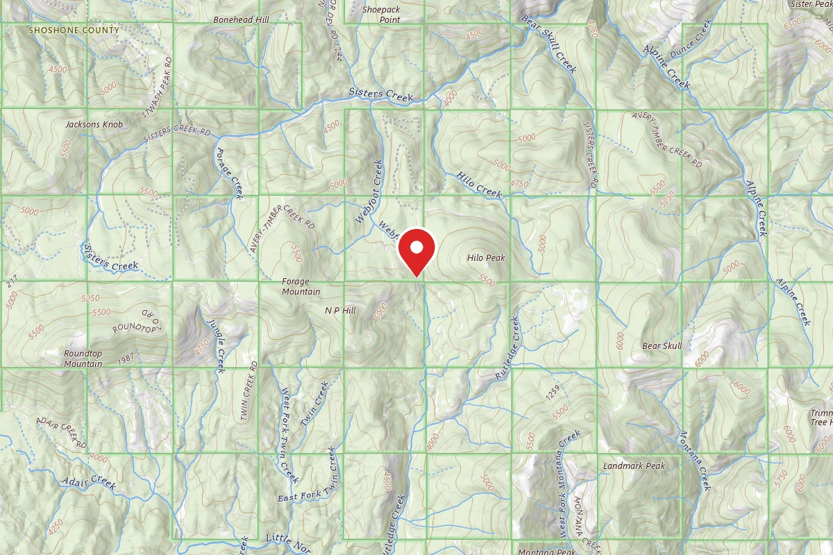 Idaho Panhandle Dispersed Campsite RD 201 MI 10.6