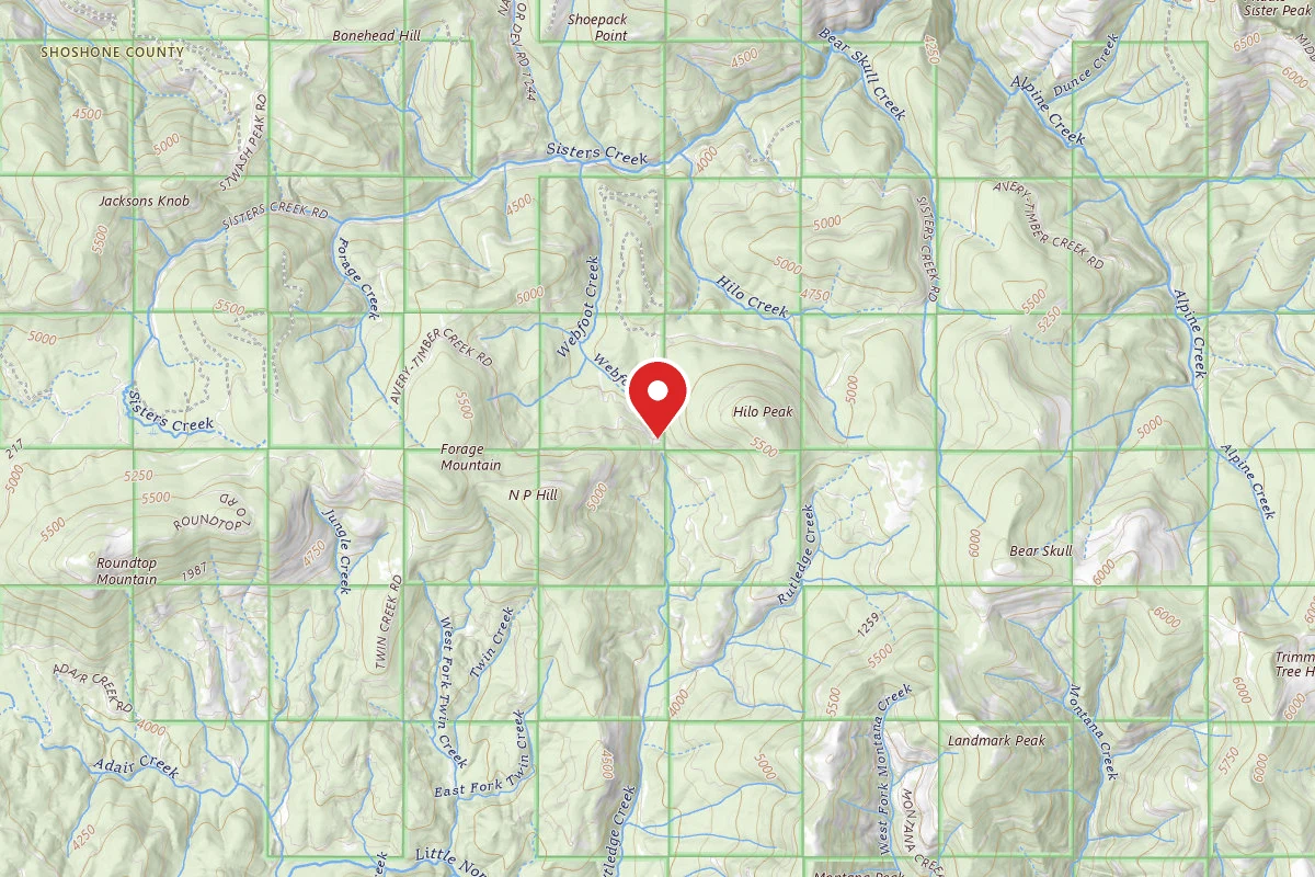 Idaho Panhandle Dispersed Campsite RD 201 MI 10.6