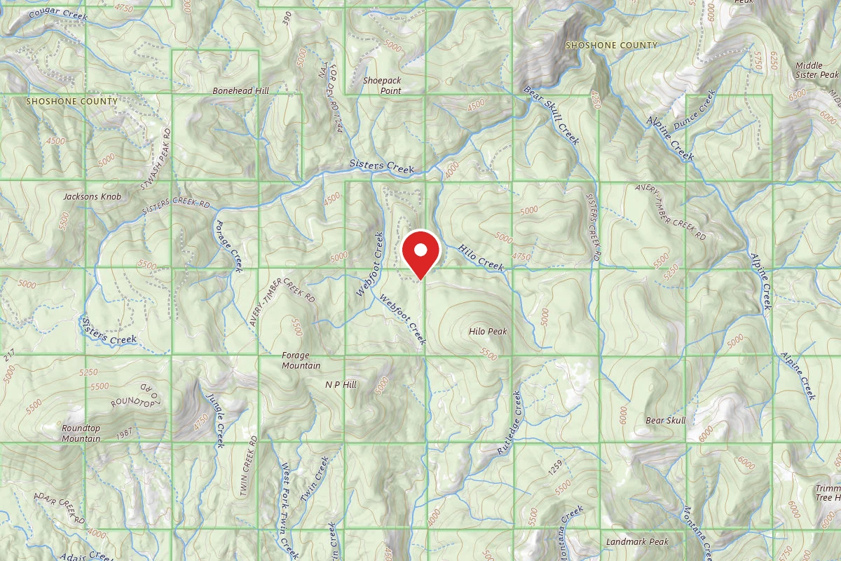 Idaho Panhandle Dispersed Campsite RD 201 MI 11.5