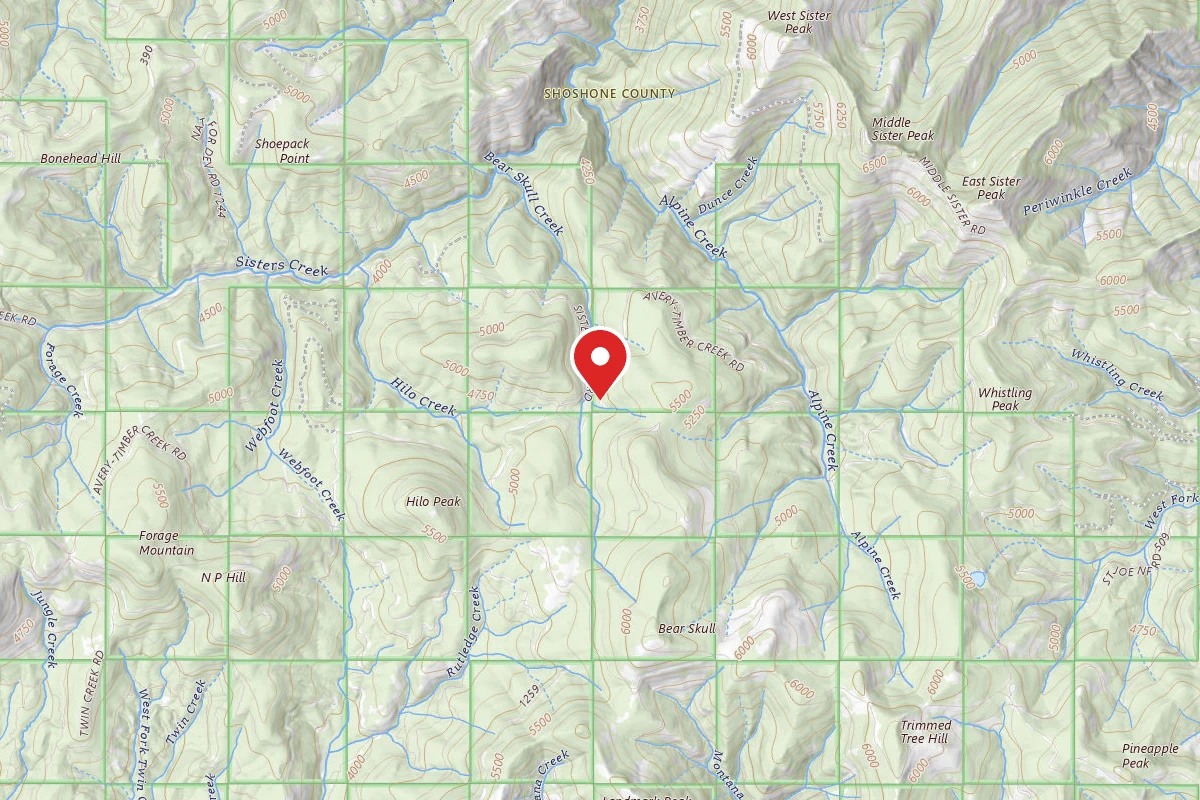 Idaho Panhandle Dispersed Campsite RD 201 MI 14.6