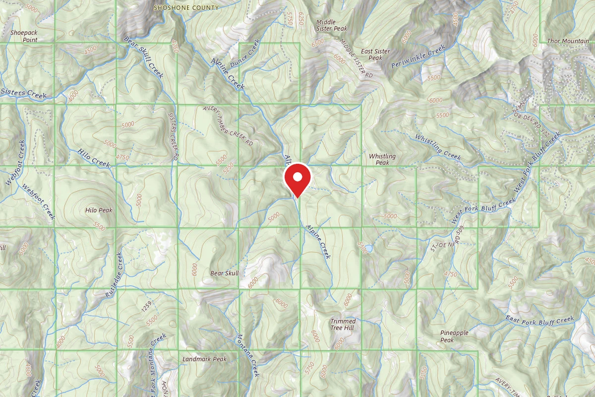 Idaho Panhandle Dispersed Campsite RD 201 MI 19.1