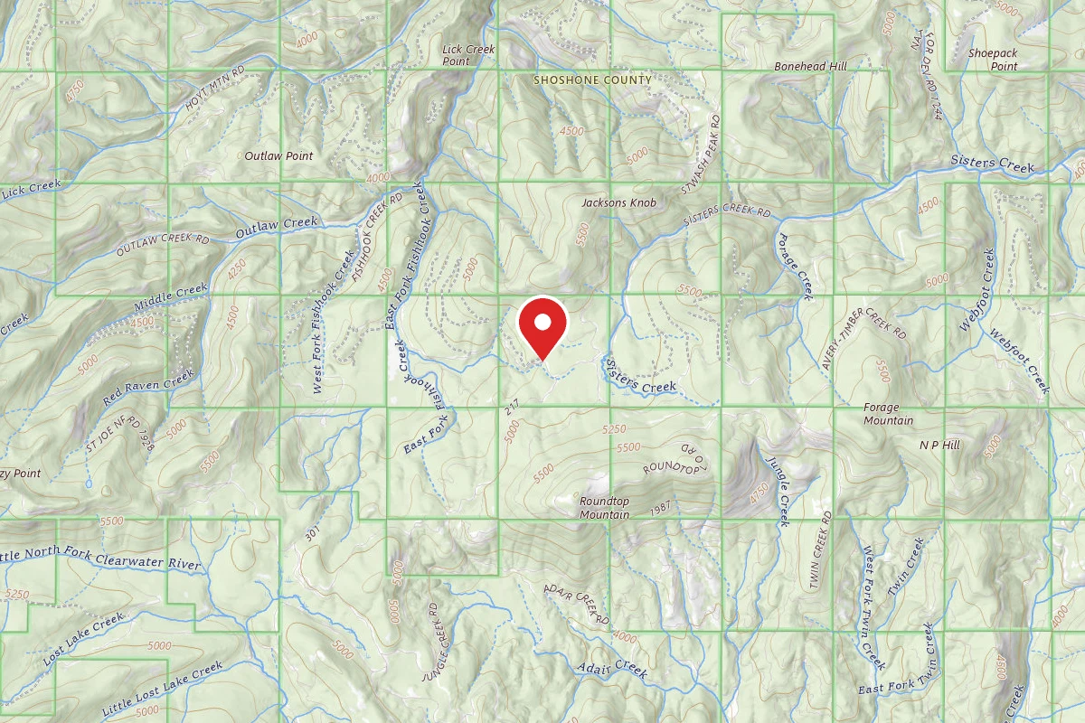 Idaho Panhandle Dispersed Campsite RD 201 MI 3.1